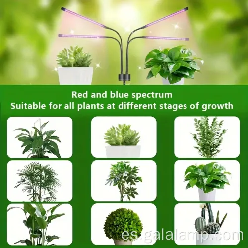 Lámpara de crecimiento de planta de soporte LED Tiempo de espectro completo